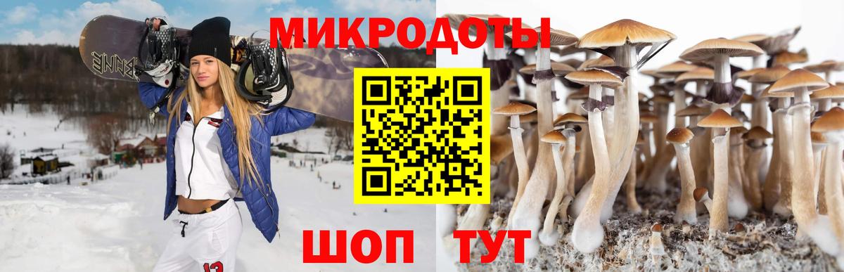 Галлюциногенные грибы мухоморы Бутурлиновка